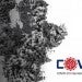 Second COVID Symposium Reveals Better Understanding of COVID-19
