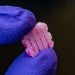 AI could expand healing with bioscaffolds