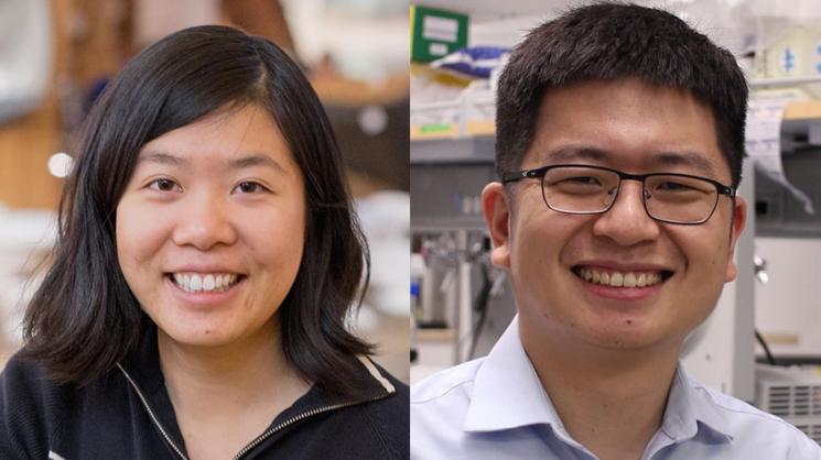 CPRIT grants bring computer scientist, bioengineer to Rice