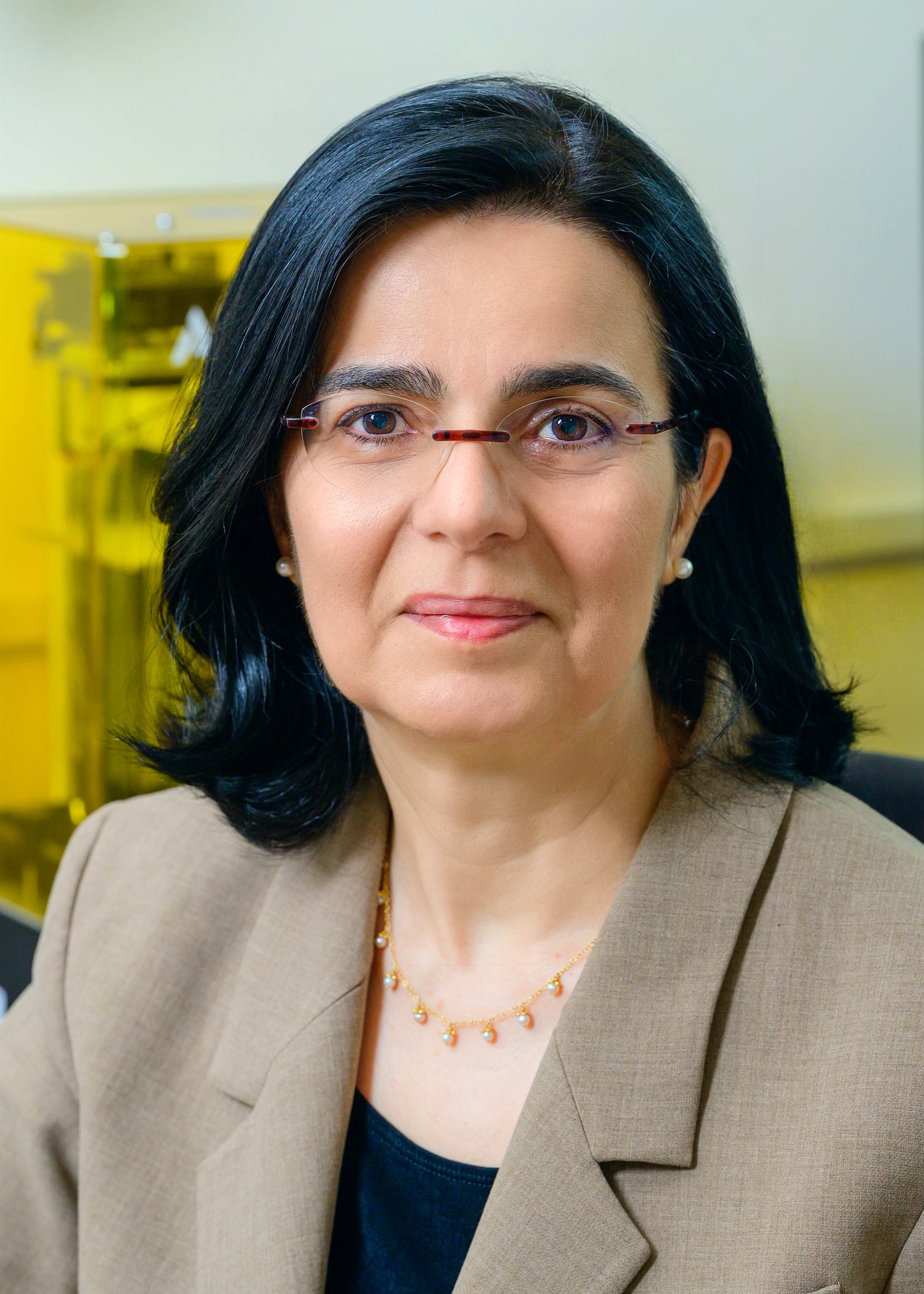 Lydia Kavraki in her lab at Rice University 